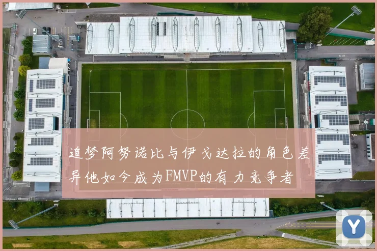 追梦阿努诺比与伊戈达拉的角色差异他如今成为FMVP的有力竞争者